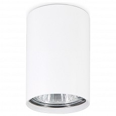 Накладной светильник ambrella light tn tn213101